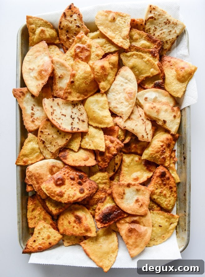 Oven-Baked Carnitas Nachos with Homemade Tortilla Chips 4 crispy carnitas oven nachos I howsweeteats.com