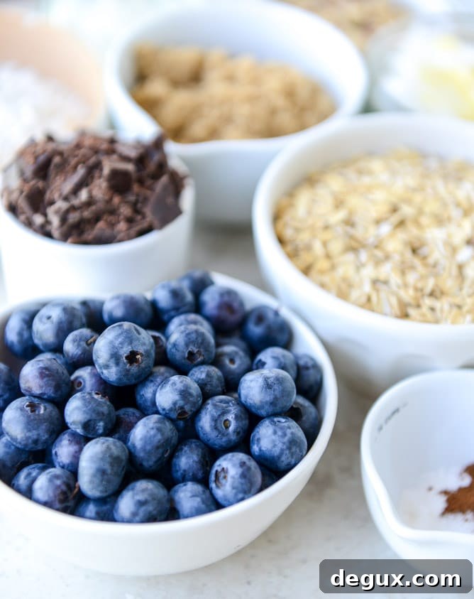 blueberry breakfast cookies I howsweeteats.com