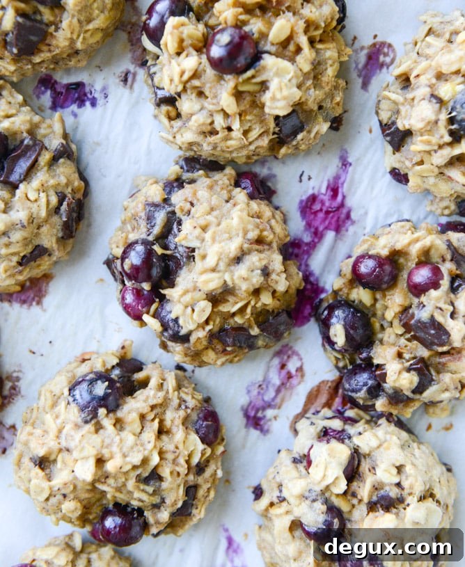 blueberry breakfast cookies I howsweeteats.com