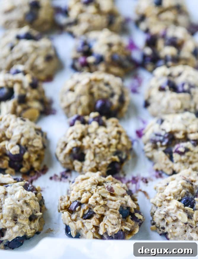 blueberry breakfast cookies I howsweeteats.com