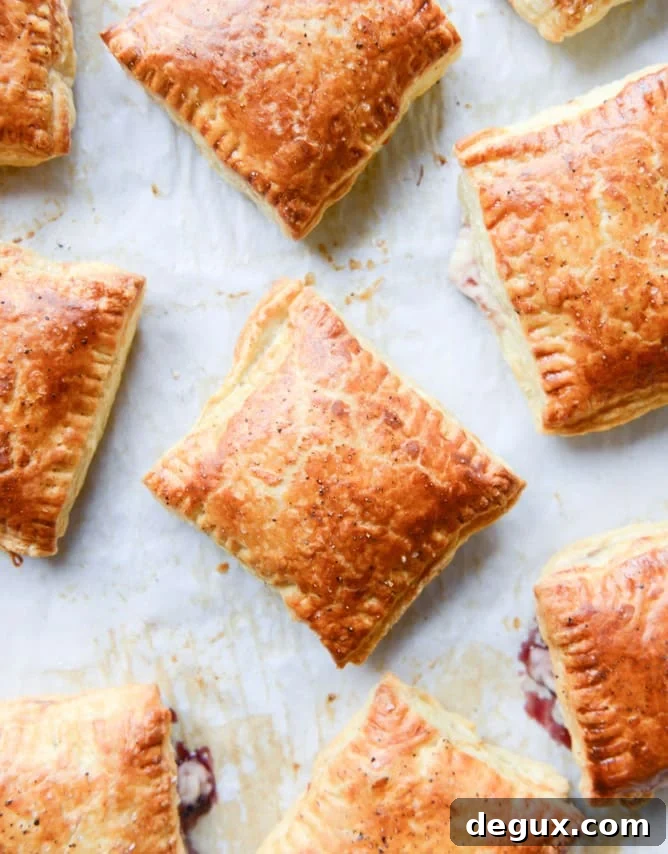 Smoked Cheddar & Cherry Jam Pop-Tarts Recipe 6 smoked cheddar and cherry jam pastry pop tarts I howsweeteats.com