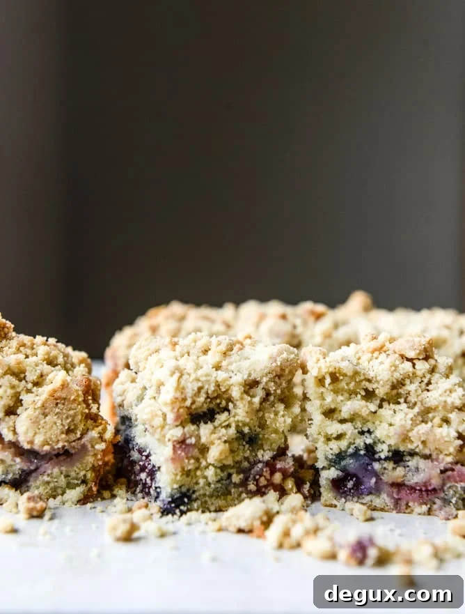 cherry berry buttermilk crumb cake I howsweeteats.com
