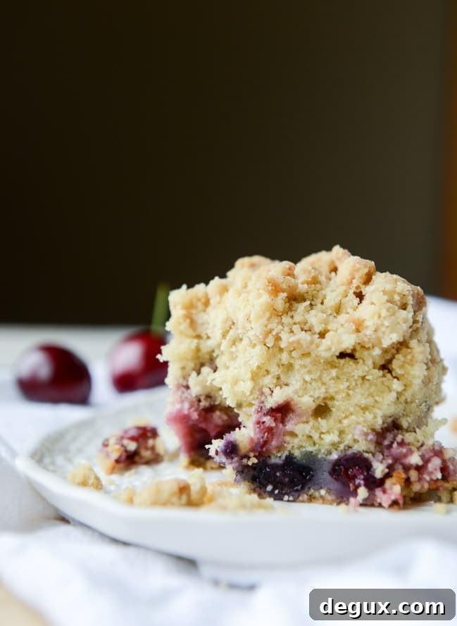cherry berry buttermilk crumb cake I howsweeteats.com