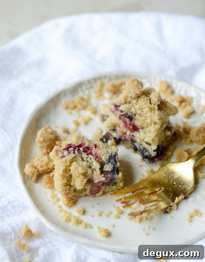 cherry berry buttermilk crumb cake I howsweeteats.com