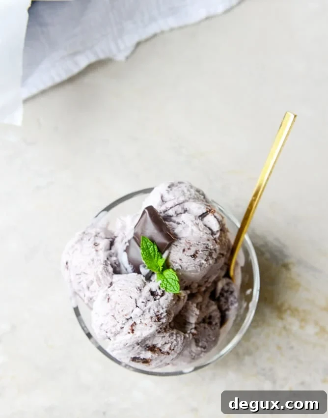 No-Churn Blackberry Chip Ice Cream Recipe You’ll Love 2 NO CHURN blackberry chip ice cream I howsweeteats.com