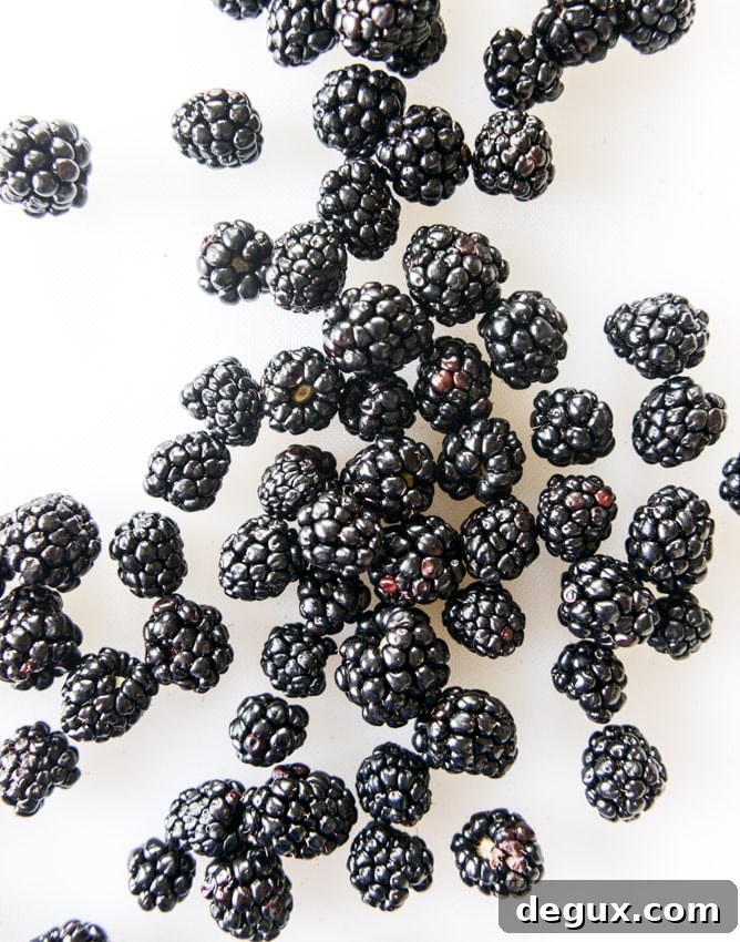 No-Churn Blackberry Chip Ice Cream Recipe You’ll Love 3 NO CHURN blackberry chip ice cream I howsweeteats.com