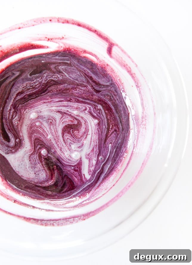 No-Churn Blackberry Chip Ice Cream Recipe You’ll Love 4 NO CHURN blackberry chip ice cream I howsweeteats.com