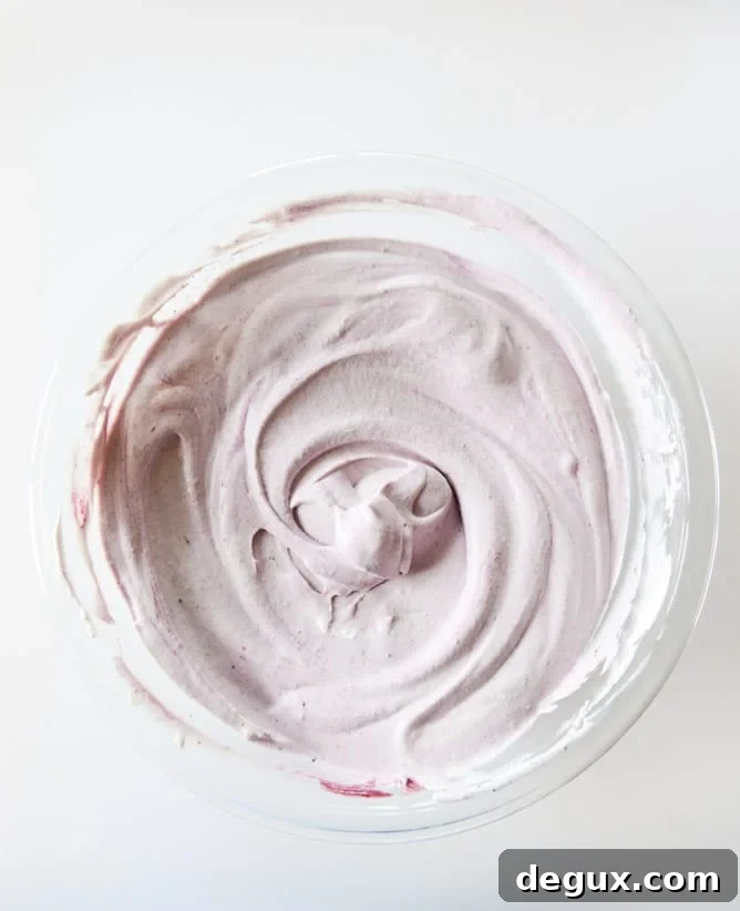 No-Churn Blackberry Chip Ice Cream Recipe You’ll Love 5 NO CHURN blackberry chip ice cream I howsweeteats.com