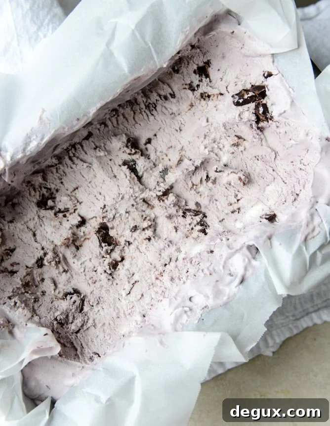 No-Churn Blackberry Chip Ice Cream Recipe You’ll Love 7 NO CHURN blackberry chip ice cream I howsweeteats.com