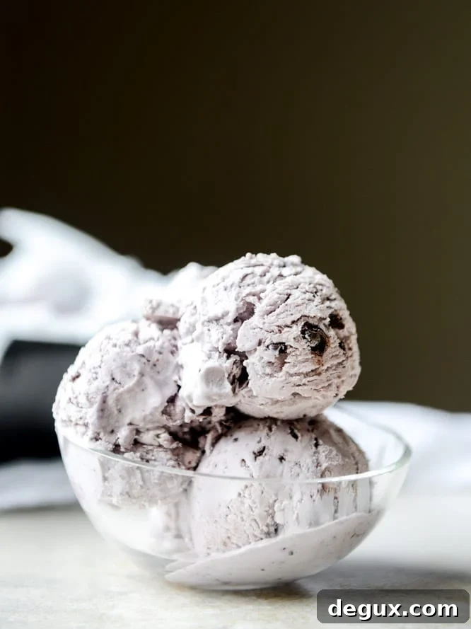 No-Churn Blackberry Chip Ice Cream Recipe You’ll Love 9 NO CHURN blackberry chip ice cream I howsweeteats.com