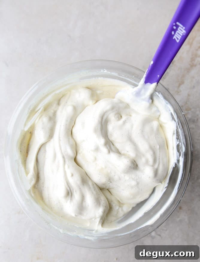 peanut butter chocolate chip cookie dough blizzard with no-churn vanilla bean ice cream I howsweeteats.com