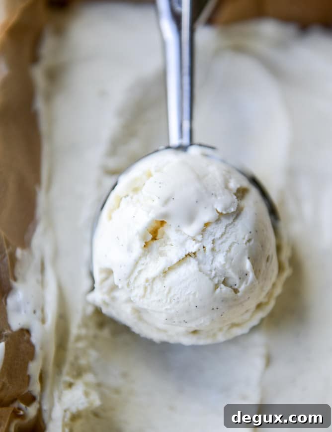 peanut butter chocolate chip cookie dough blizzard with no-churn vanilla bean ice cream I howsweeteats.com