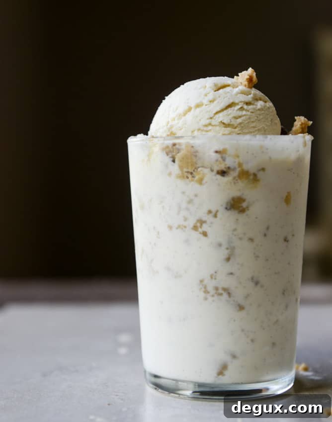peanut butter chocolate chip cookie dough blizzard with no-churn vanilla bean ice cream I howsweeteats.com