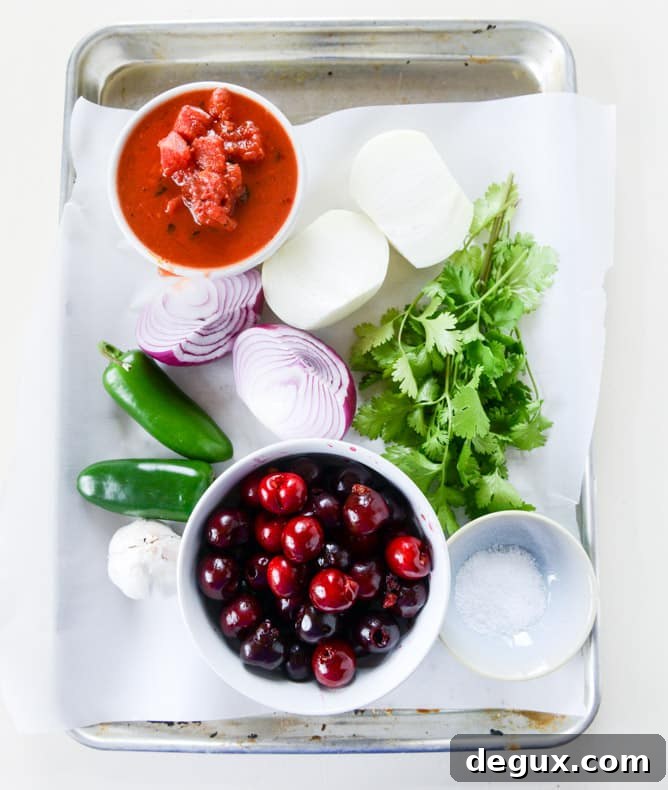 grilled cherry salsa I howsweeteats.com