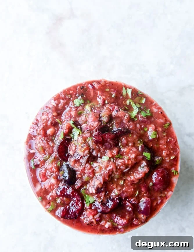 grilled cherry salsa I howsweeteats.com