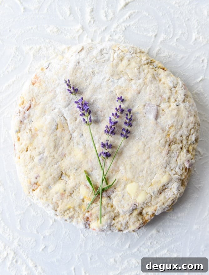 Caramelized Peach & Lavender Scones: Golden, Fragrant Recipe 5 caramelized peach and lavender scones I howsweeteats.com