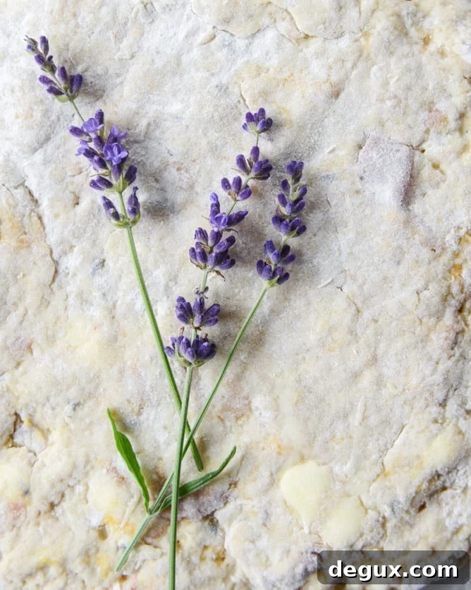 Caramelized Peach & Lavender Scones: Golden, Fragrant Recipe 6 caramelized peach and lavender scones I howsweeteats.com