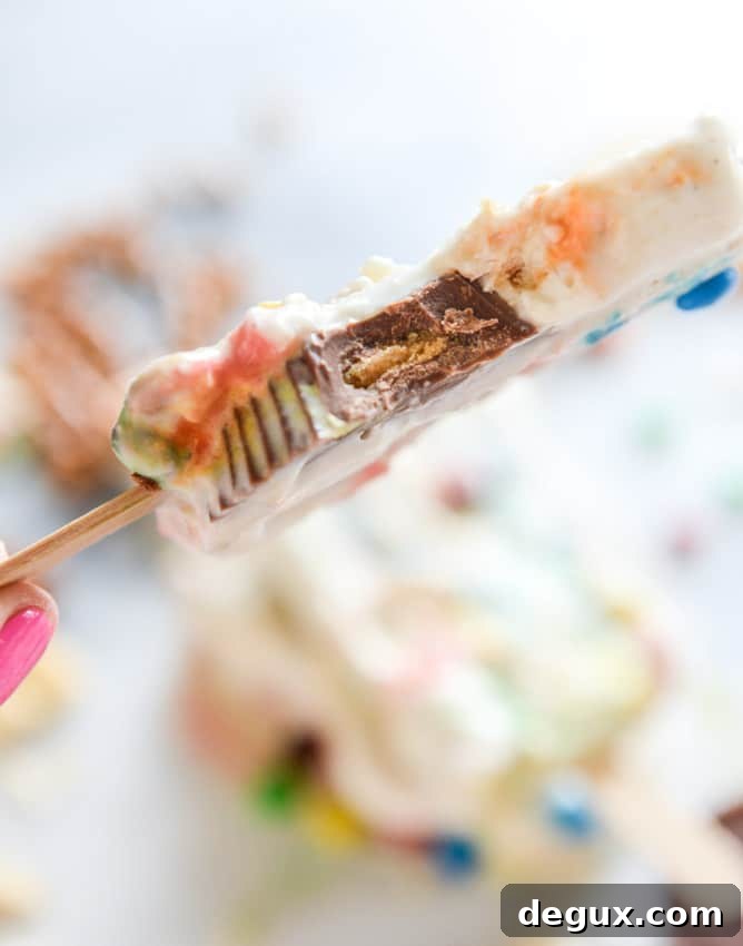 snacksicles I howsweeteats.com-9