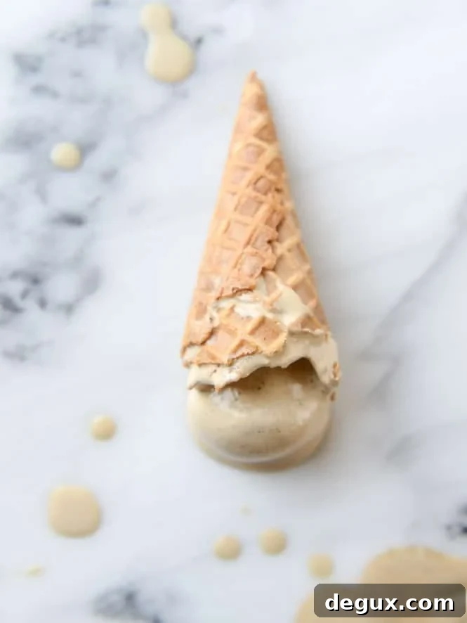 Vietnamese Iced Coffee Ice Cream Recipe – Rich Café Sua Da Gelato 2 vietnamese iced coffee ice cream I howsweeteats.com