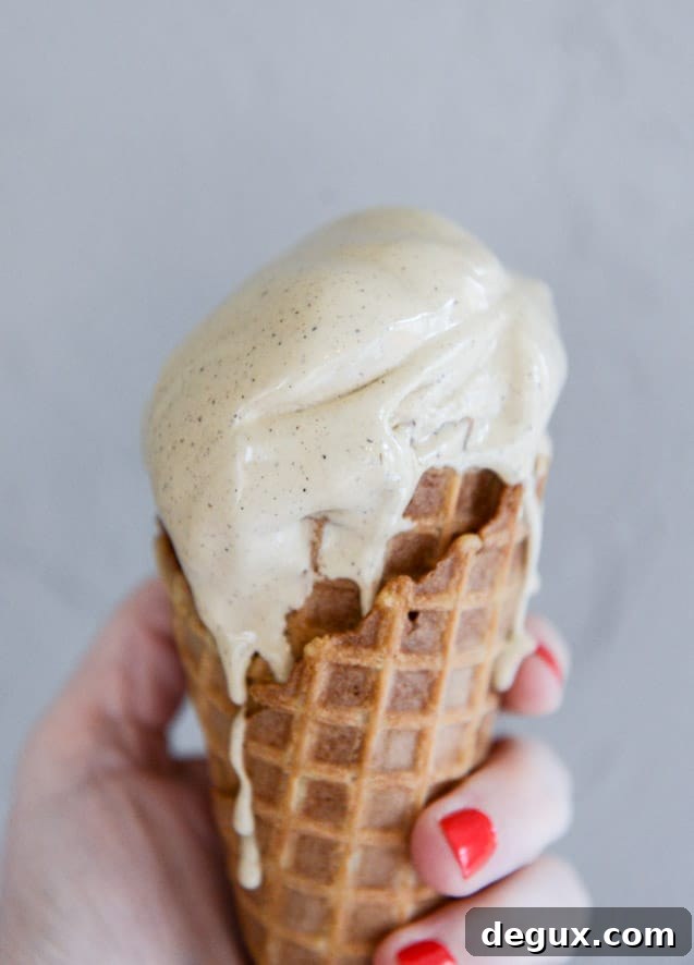 Vietnamese Iced Coffee Ice Cream Recipe – Rich Café Sua Da Gelato 7 vietnamese iced coffee ice cream I howsweeteats.com