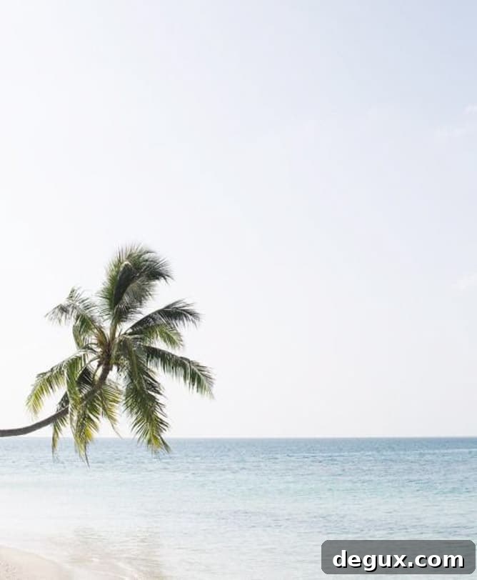 Currently Crushing On — August 1, 2015: Style & Finds 2 currently crushing on I howsweeteats.com