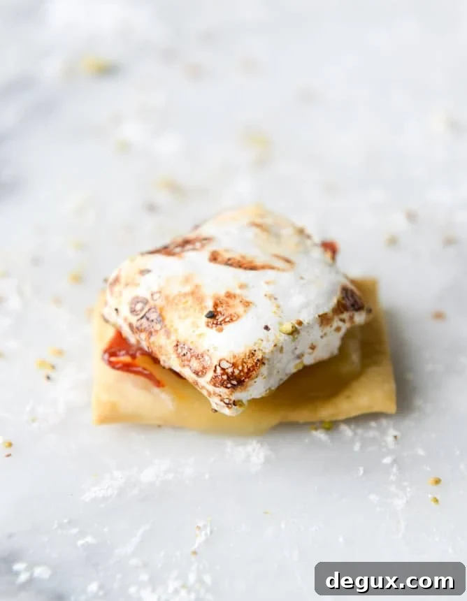 Savory Open-Faced S'mores with Pistachio Marshmallows 7 savory s'mores with pistachio marshmallows I howsweeteats.com