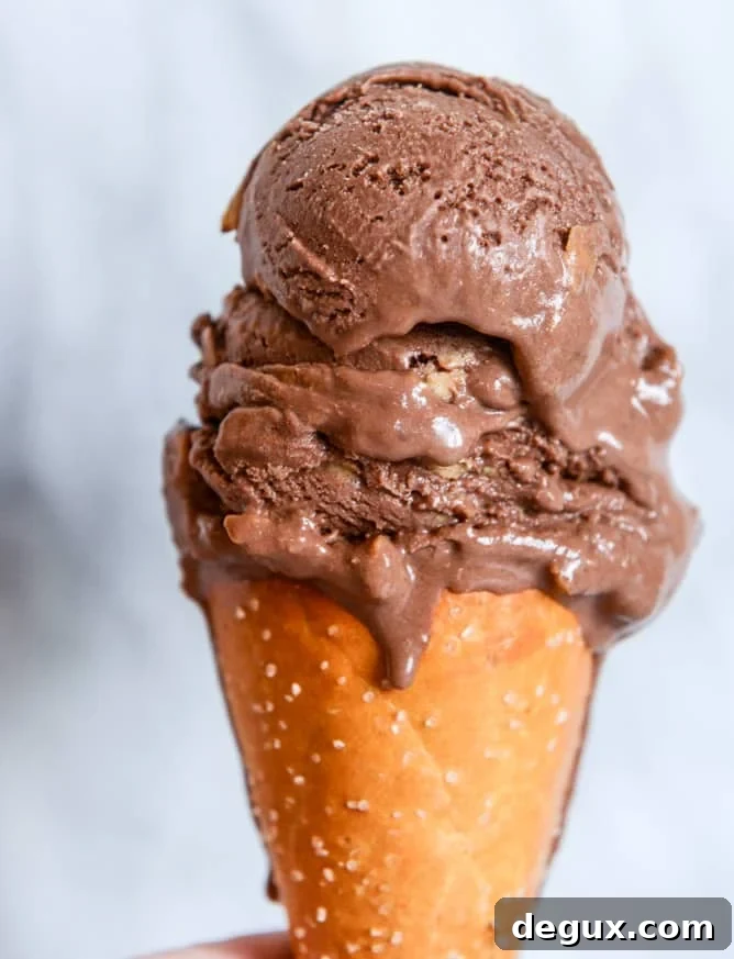 Chocolate Peanut Butter Pretzel Ice Cream Recipe 2 chocolate peanut butter pretzel ice cream I howsweeteats.com