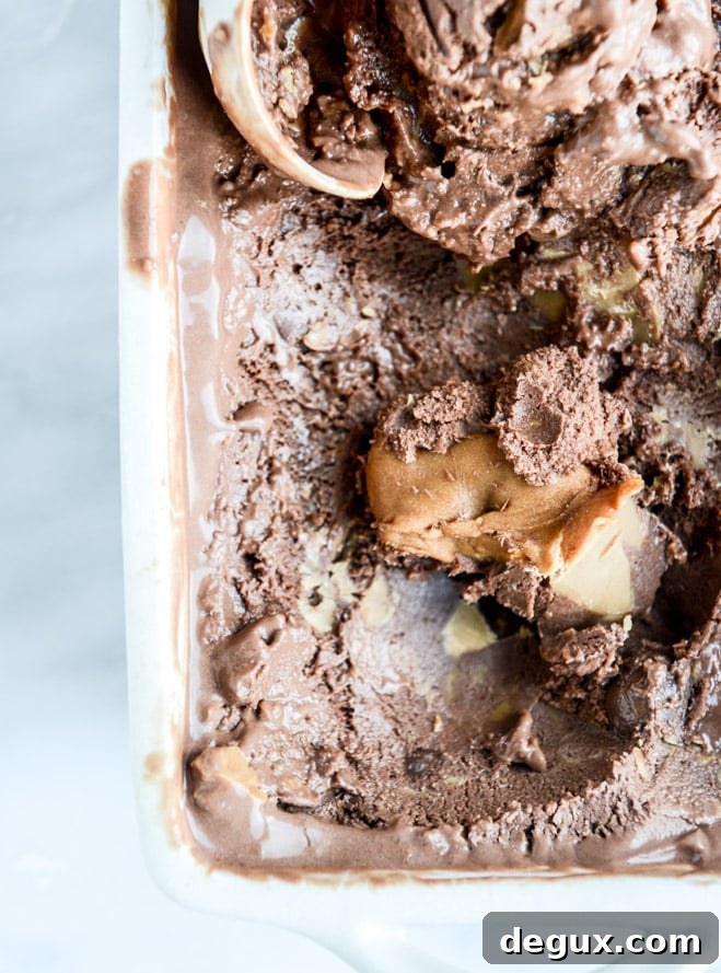 Chocolate Peanut Butter Pretzel Ice Cream Recipe 5 chocolate peanut butter pretzel ice cream I howsweeteats.com