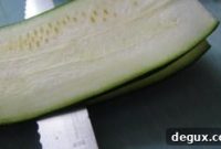 Crispy Fried Zucchini Stuffed with Provolone