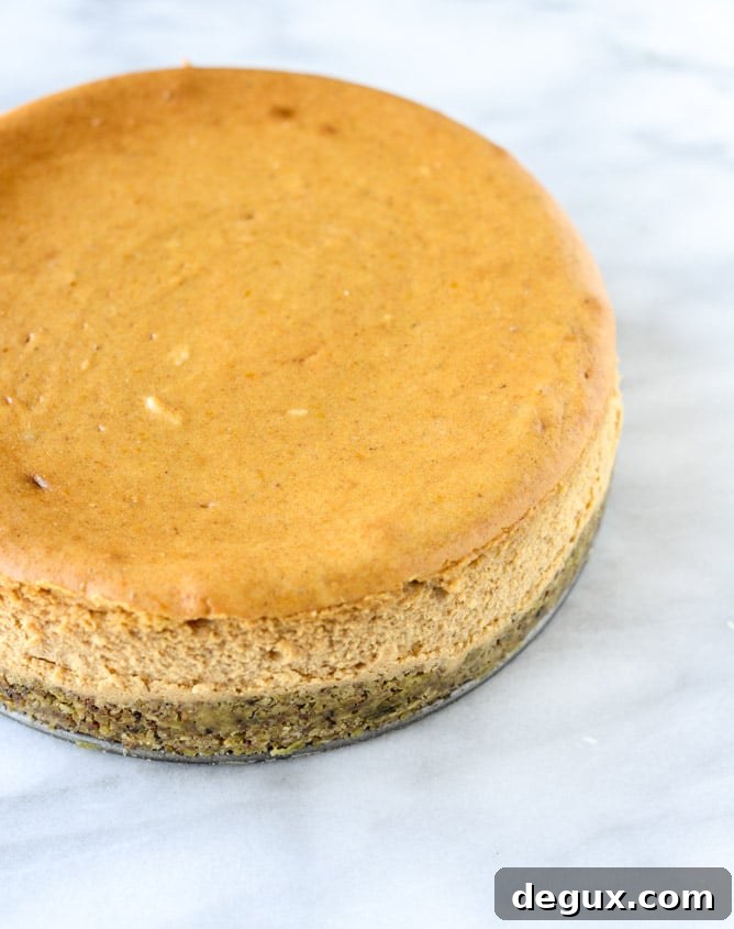 Brown Sugar Pumpkin Cheesecake with Pistachio Macaroon Crust 3 brown sugar pumpkin cheesecake with pistachio macaroon crust I howsweeteats.com
