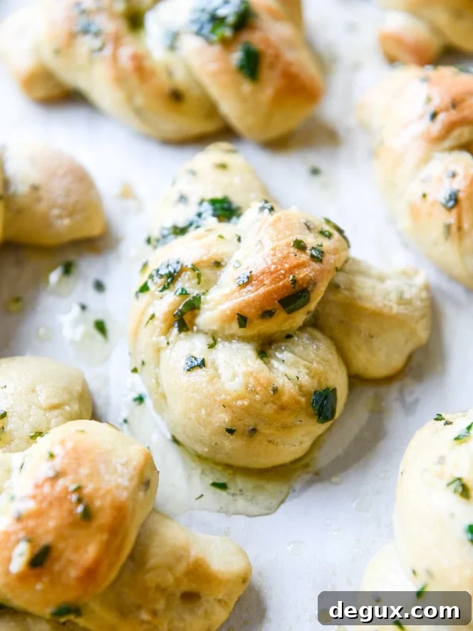 50+ thanksgiving recipes I howsweeteats.com
