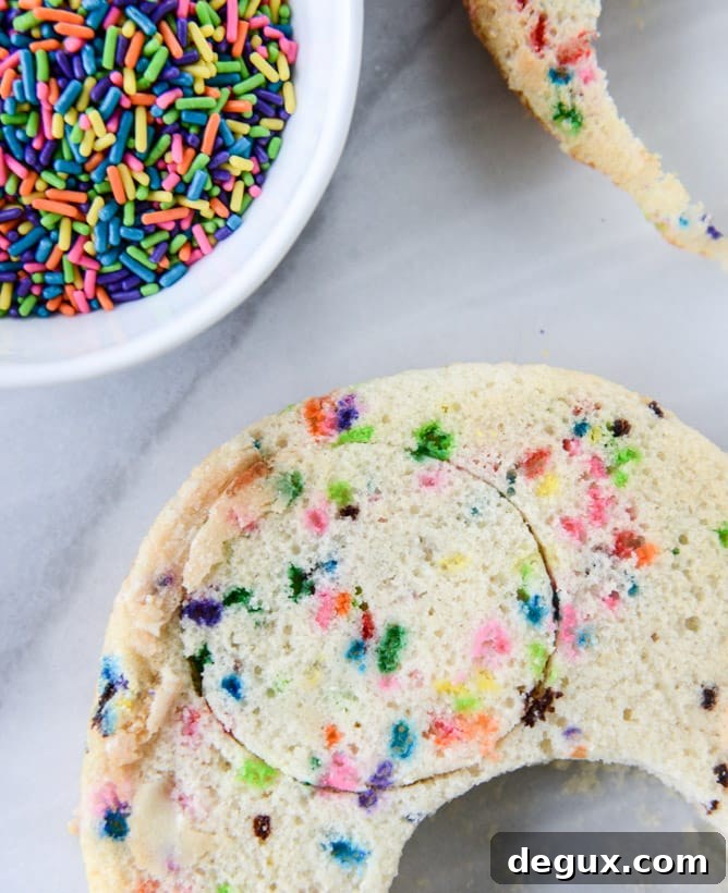 Mini Sprinkle Smash Cake Ideas for Colorful First-Birthday Photos 4 mini sprinkle smash cake I howsweeteats.com