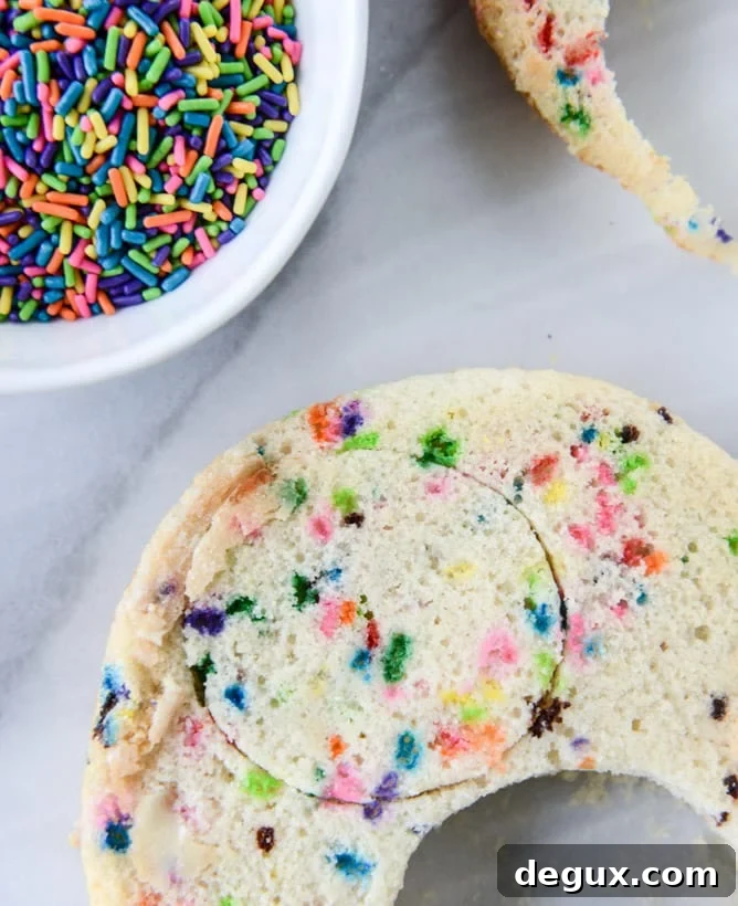mini sprinkle smash cake I howsweeteats.com