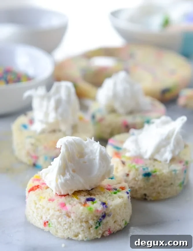 Mini Sprinkle Smash Cake Ideas for Colorful First-Birthday Photos 5 mini sprinkle smash cake I howsweeteats.com