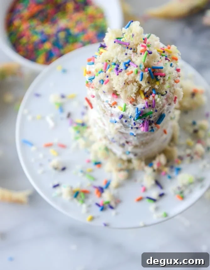 mini sprinkle smash cake I howsweeteats.com