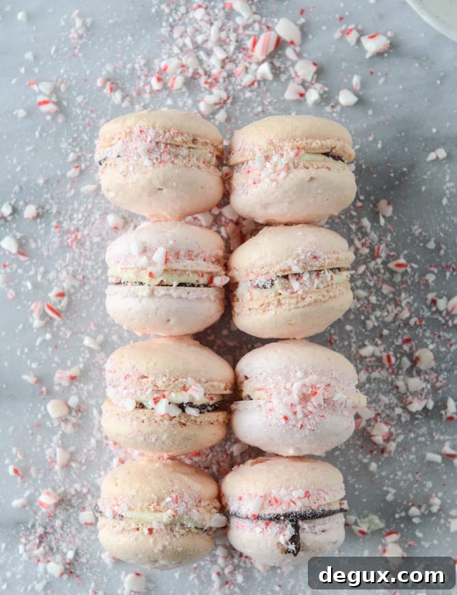 Pink Peppermint Bark Macarons Recipe — Festive Holiday Dessert 2 pink peppermint bark macarons I howsweeteats.com