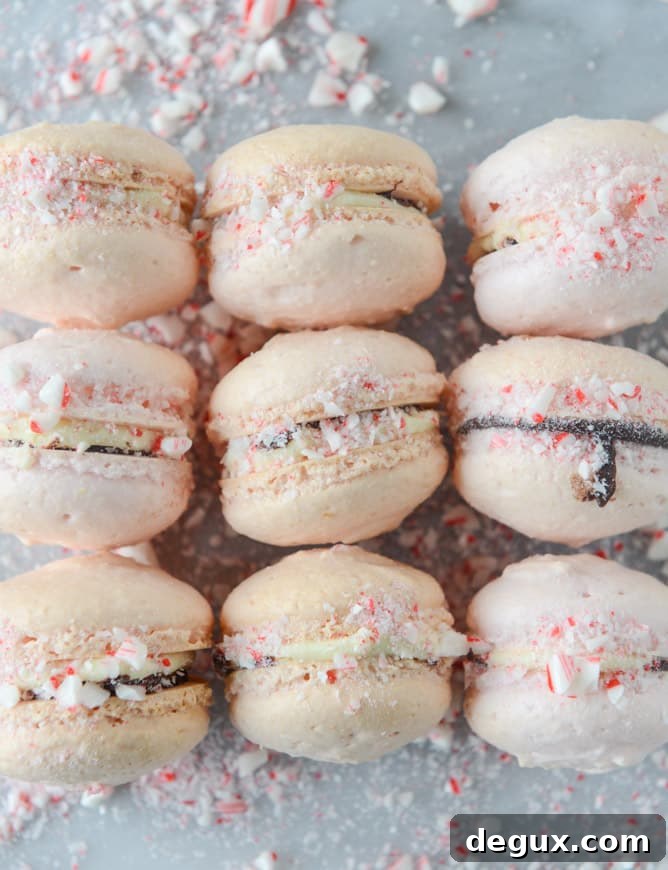 Pink Peppermint Bark Macarons Recipe — Festive Holiday Dessert 8 pink peppermint bark macarons I howsweeteats.com