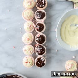 Pink Peppermint Bark Macarons Recipe — Festive Holiday Dessert 9 img 44038 8