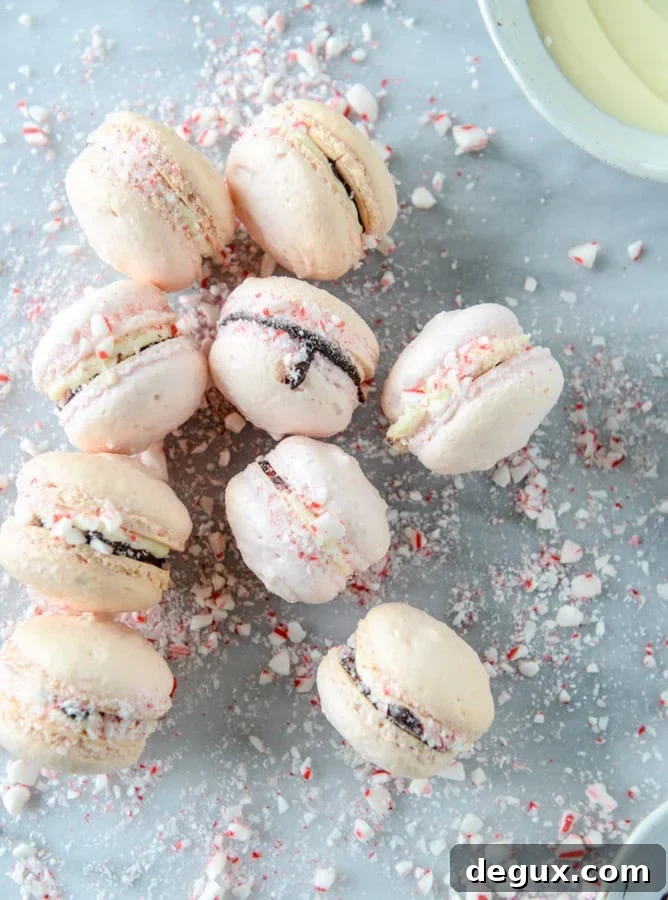 Pink Peppermint Bark Macarons Recipe — Festive Holiday Dessert 10 pink peppermint bark macarons I howsweeteats.com