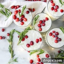 White Christmas Margarita Punch Recipe for Festive Parties 7 img 44060 6