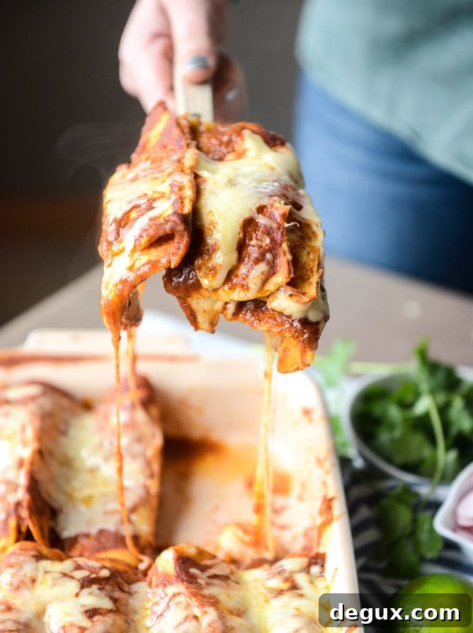 Dream-Worthy Cheese Enchiladas Recipe 6 the best cheese enchiladas with homemade sauce I howsweeteats.com