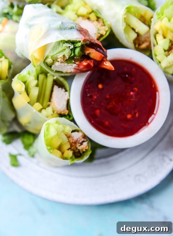 crunchy chicken spring rolls with blood orange dipping sauce I howsweeteats.com