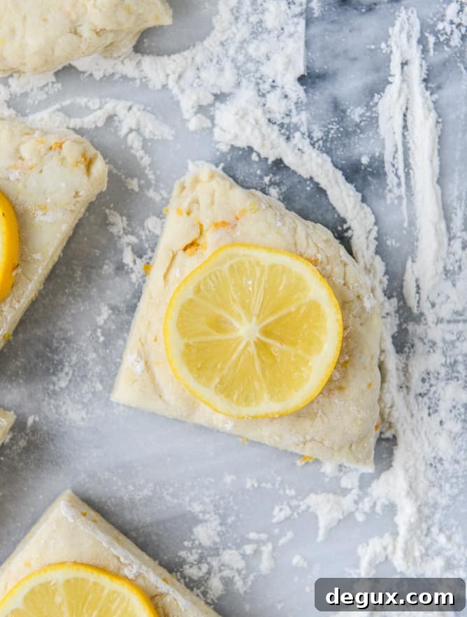 meyer lemon scones with raspberry crumbs I howsweeteats.com