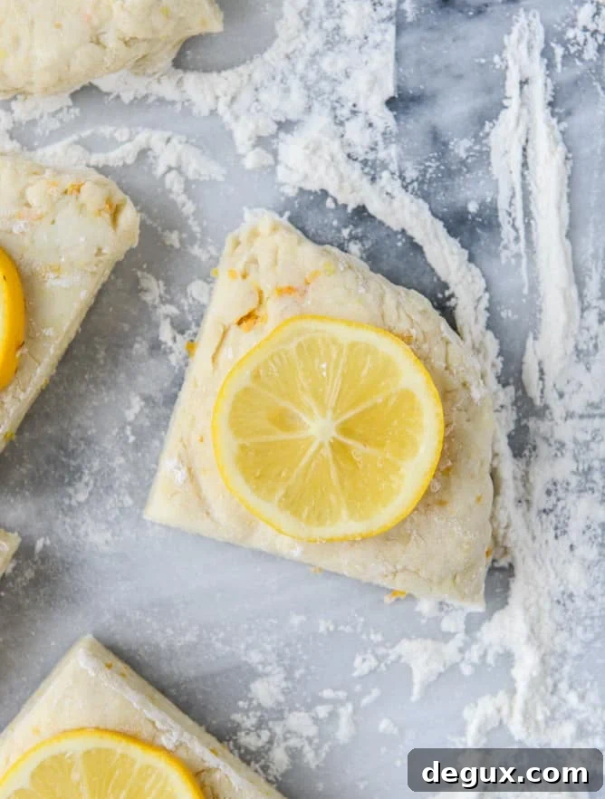meyer lemon scones with raspberry crumbs I howsweeteats.com