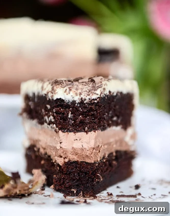 Decadent Vanilla Bean Chocolate Layer Cake Recipe 13 chocolate vanilla bean cake I howsweeteats.com