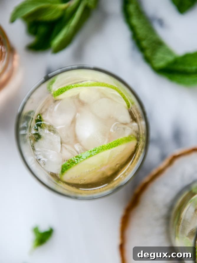 Rosé Champagne Mojitos with Homemade Champagne Syrup 4 rosé champagne mojitos I howsweeteats.com