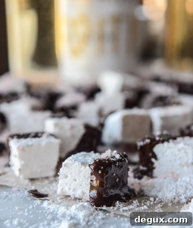 chocolate dipped champagne marshmallows with blood orange sugar I howsweeteats.com