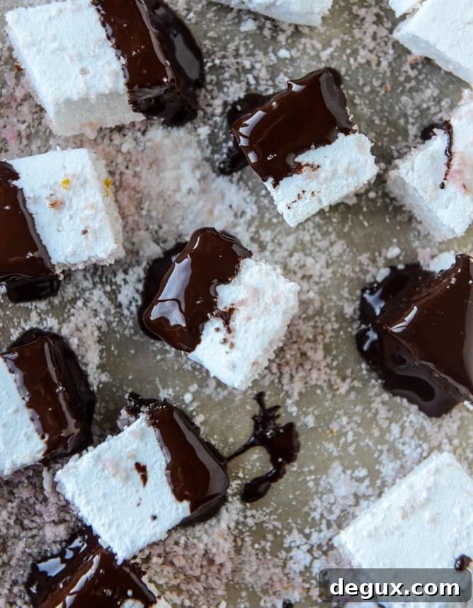chocolate dipped champagne marshmallows with blood orange sugar I howsweeteats.com