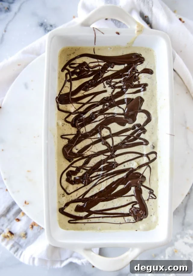 Pistachio Ice Cream with Nutella Fudge Swirls 5 pistachio ice cream with nutella fudge swirls by @howsweeteats I howsweeteats.com