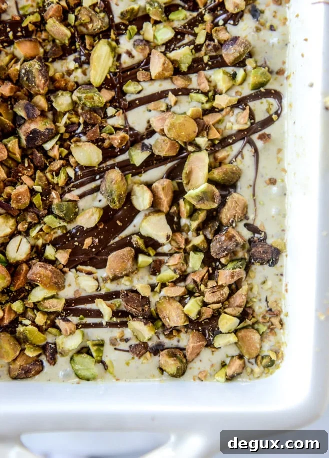 Pistachio Ice Cream with Nutella Fudge Swirls 6 pistachio ice cream with nutella fudge swirls by @howsweeteats I howsweeteats.com